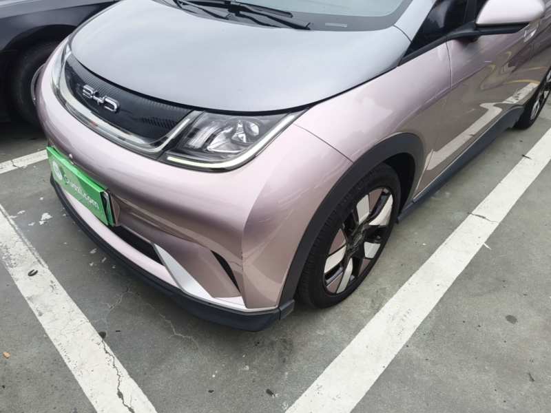 Used BYD Dolphin 2021 401km Knight Edition — 23