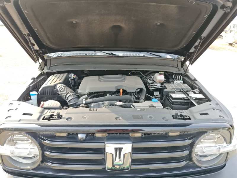 Used Tank 300 2021 Off-Road Edition 2.0T Conqueror — 15