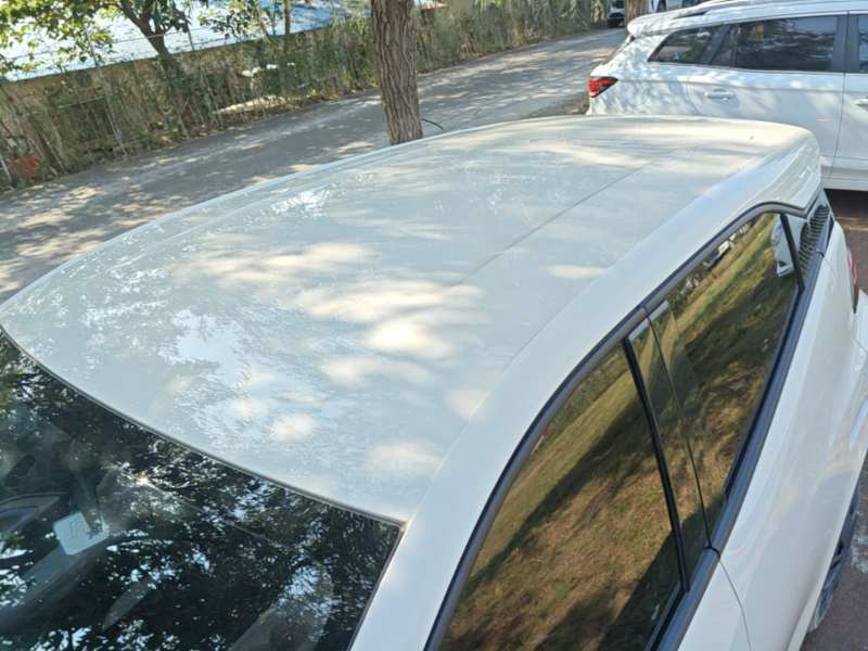 Used BYD Seagull 2024 Honor Edition 305km Dynamic Version — 26