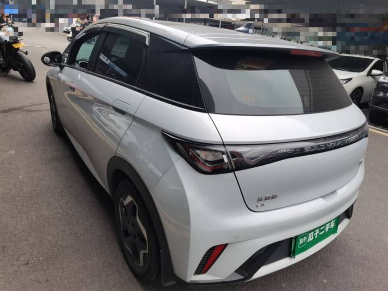 Used BYD Dolphin 2021 405 km Fashion Edition — 4