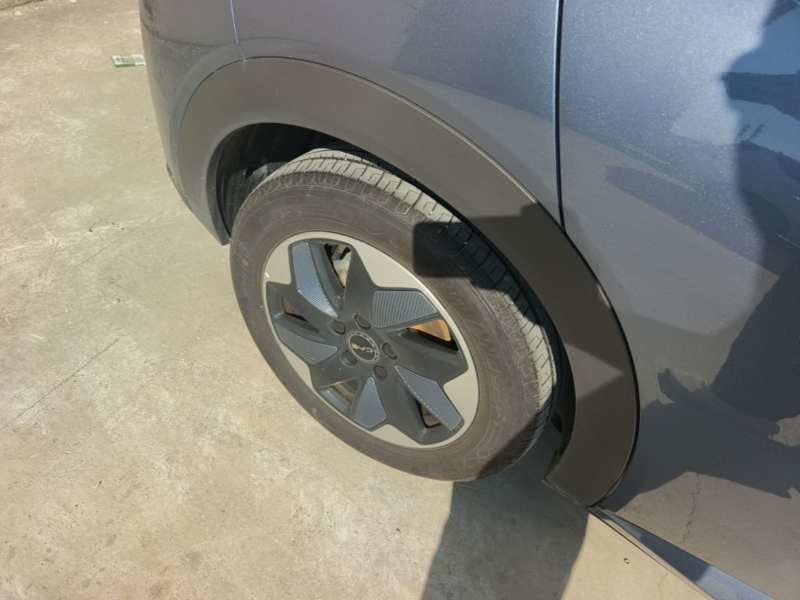 Used BYD Dolphin 2025 420km Free Edition — 25