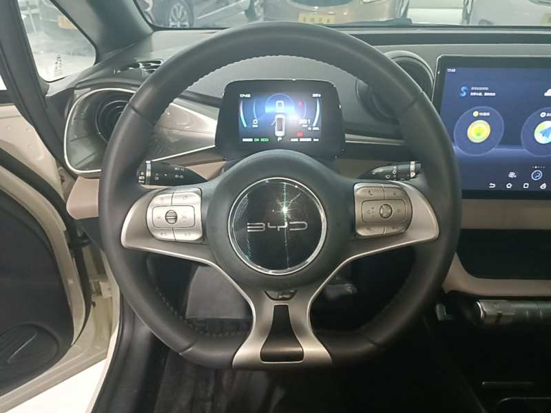 Used BYD Dolphin 2021 405 km Fashion Edition — 10