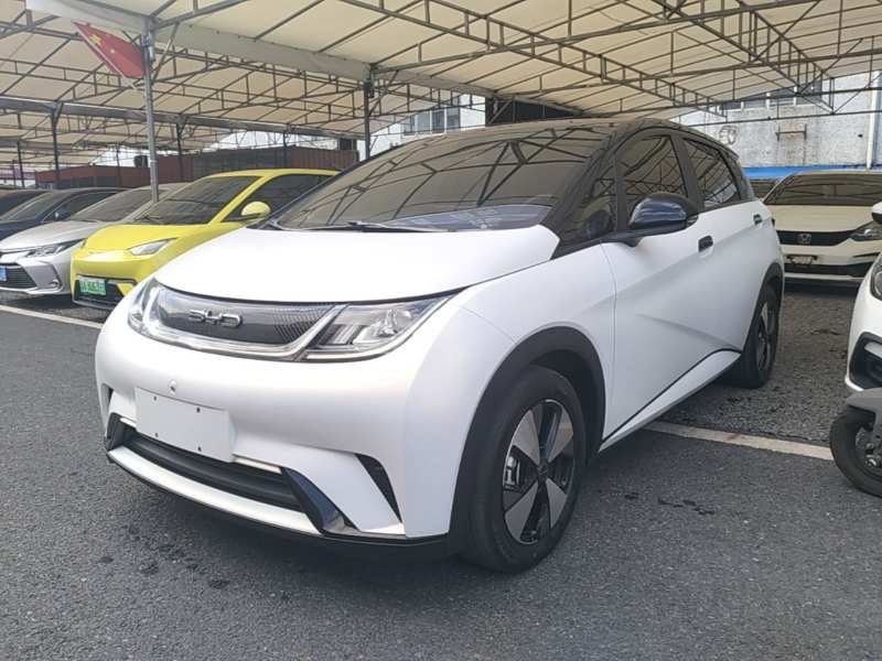 Used BYD Dolphin 2023 420 km Fashion Edition — 1