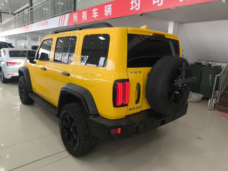 Used Tank 300 2021 Off-Road Edition 2.0T Challenger — 20