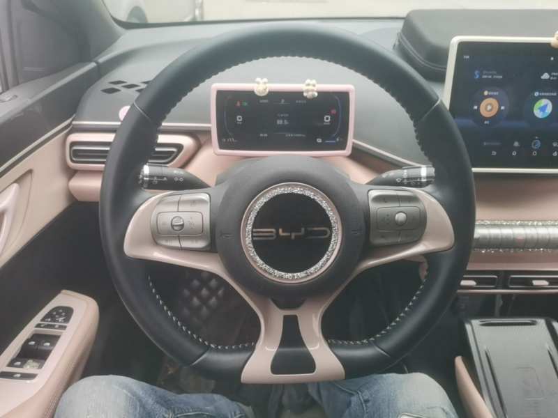 Used BYD Seagull 2023 Free Edition — 10