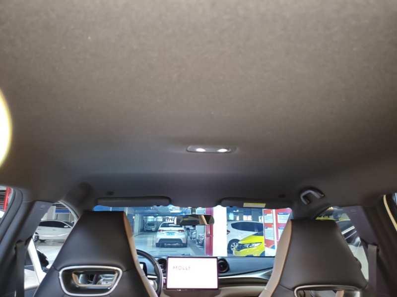 Used BYD Dolphin 2023 420 km Free Version — 17