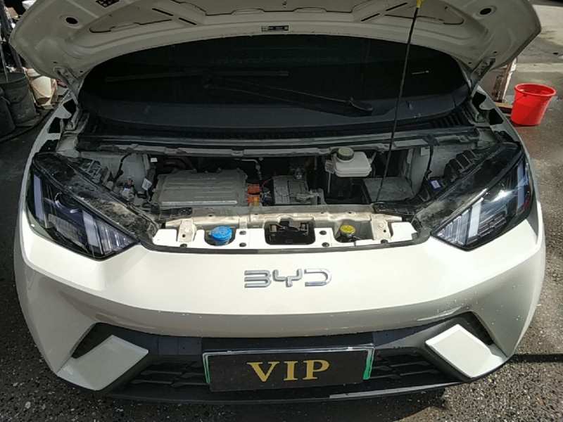 Used BYD Seagull 2024 Honor Edition 305km Dynamic Version — 19