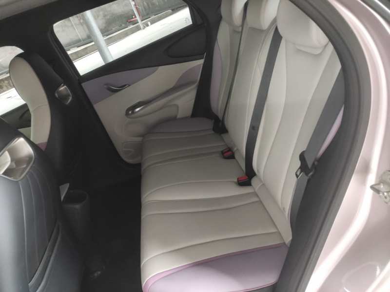 Used BYD Dolphin 2021 401km Knight Edition — 16