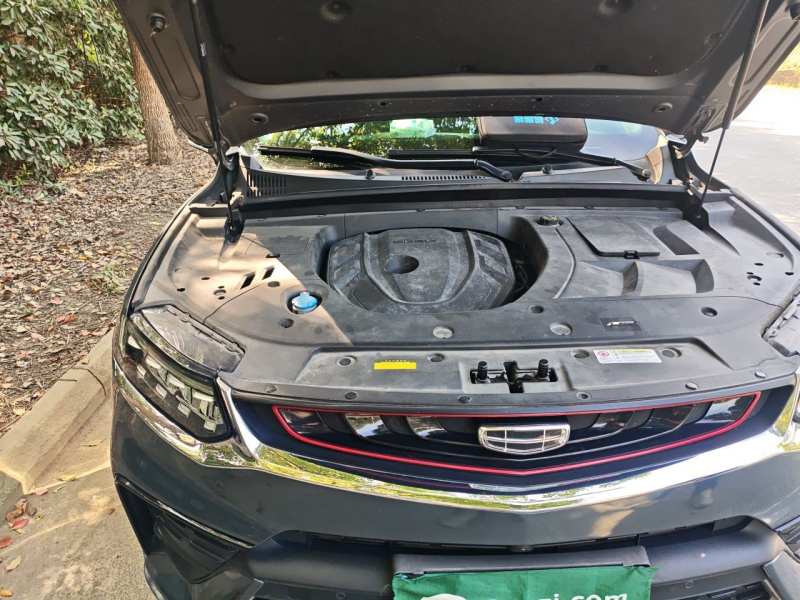 Used Geely Auto Monjaro 2020 High-Energy Edition 350T Yuxingzhe — 21