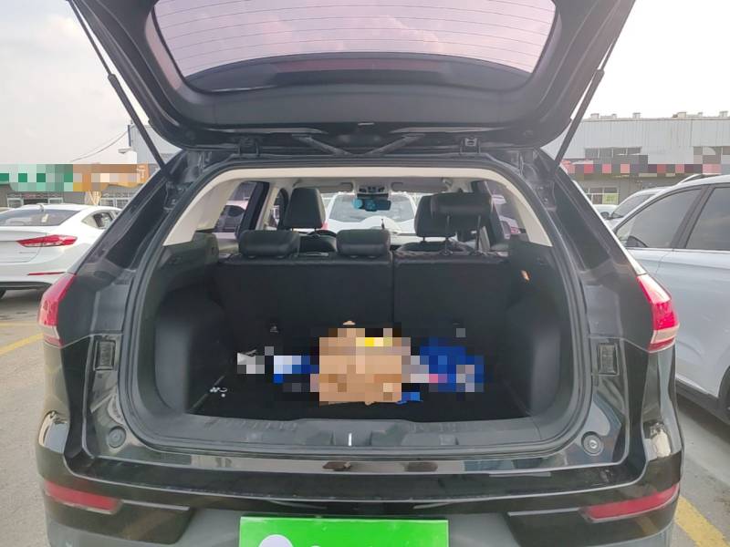 Used Haval H6 2021 1.5T Automatic Champion Edition — 18