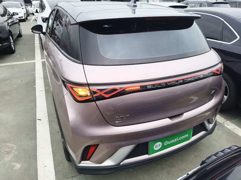 Used BYD Dolphin 2021 401km Knight Edition — 5