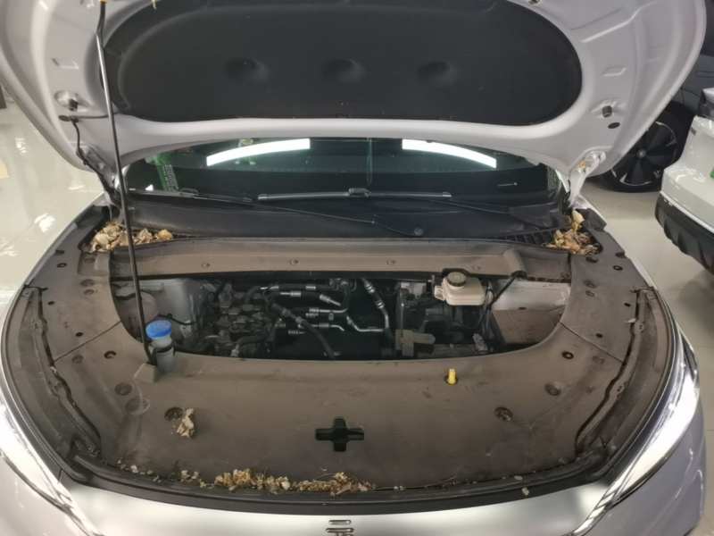 Used BYD Yuan PLUS 2024 Honor Edition 430KM Leading Model — 19