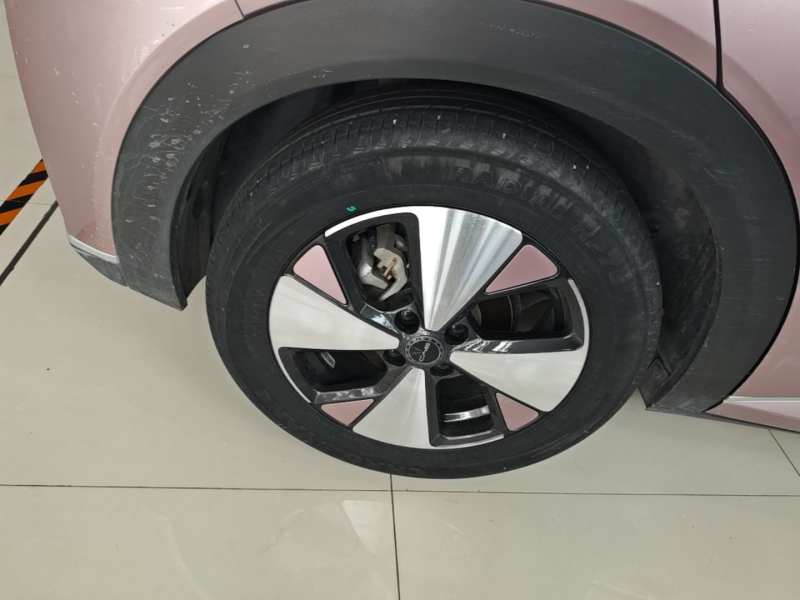 Used BYD Dolphin 2023 420 km Fashion Edition — 25