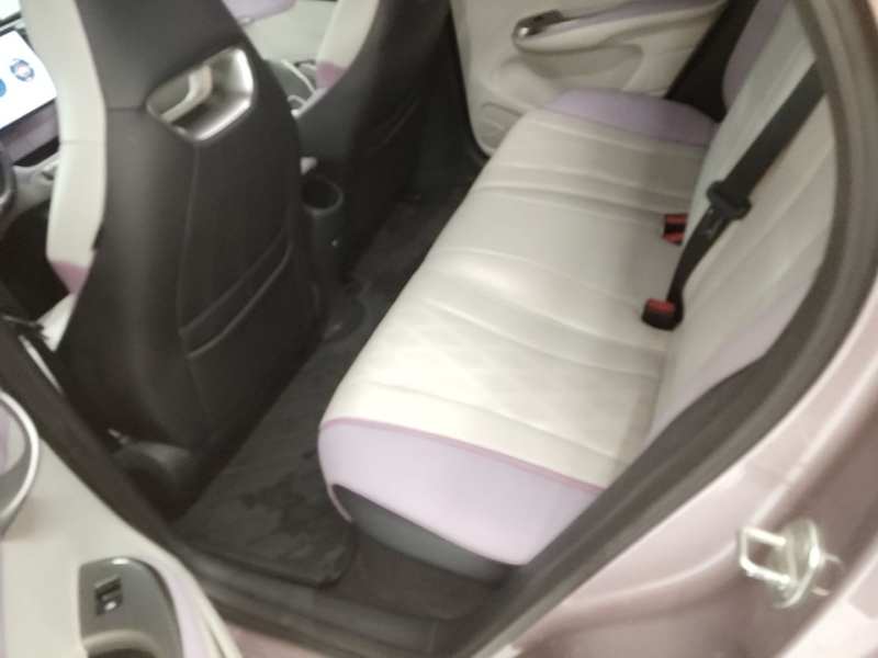 Used BYD Dolphin 2023 420 km Free Version — 16