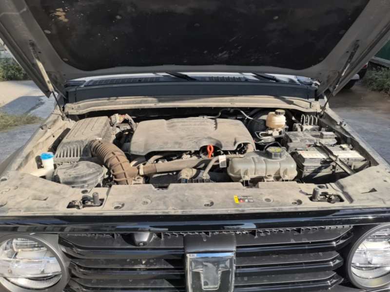 Used Tank 300 2024 2.0T Conqueror — 19