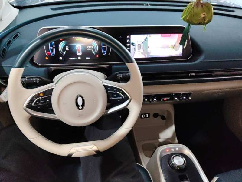 Used ORA Good Cat 2022 400km Standard Range Luxury Version Ternary Lithium — 9