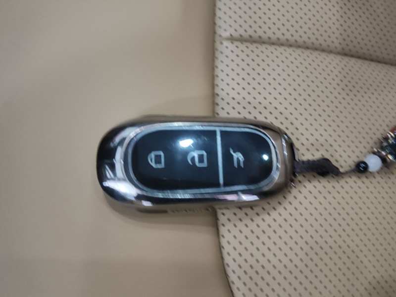 Used Leapmotor C11 2024 All-Electric 580 Luxury Edition — 8