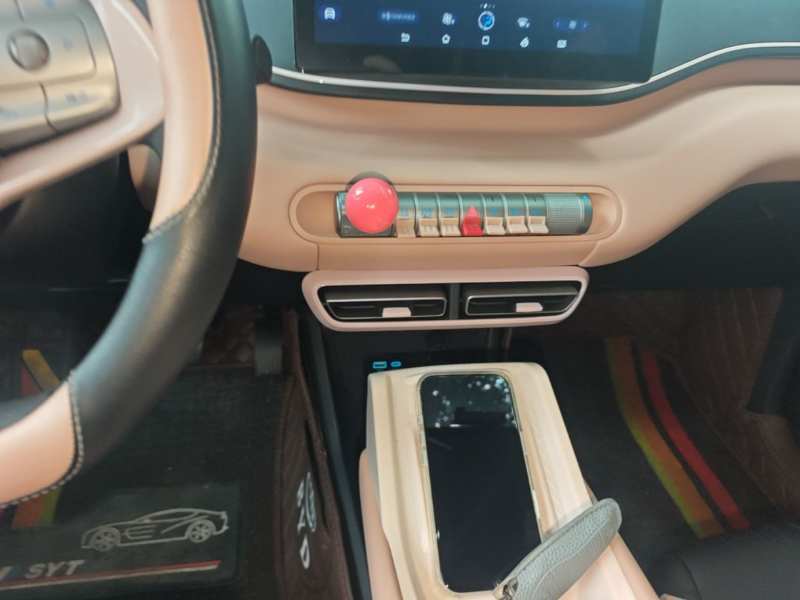 Used BYD Seagull 2025 305km Active Version — 13