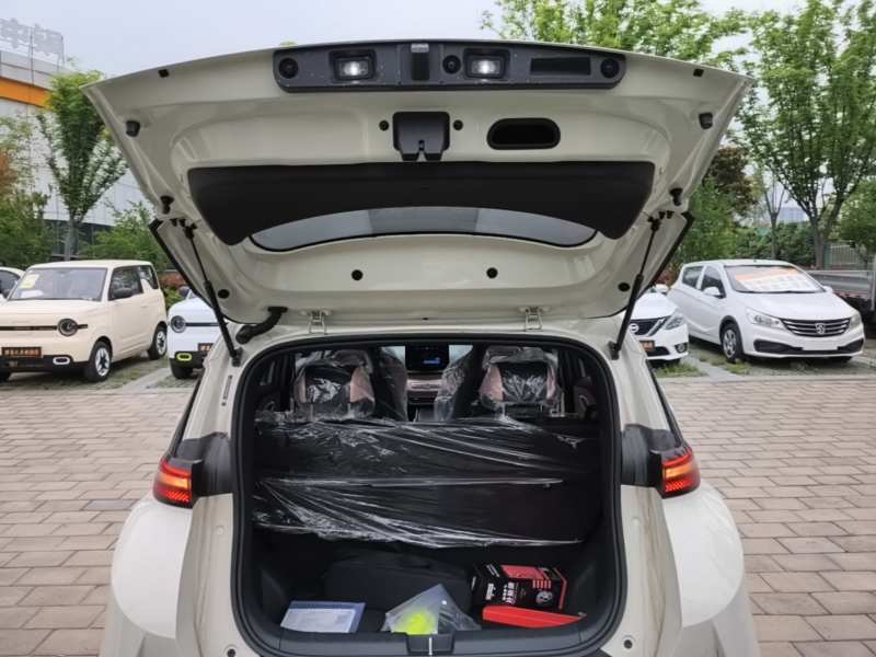 Used BYD Seagull 2025 Intelligent Driving Version 305 km Dynamic Edition — 18