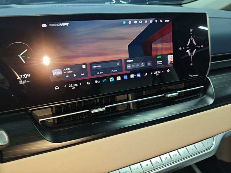 Used Wey Gaoshan 2023 Four-Wheel-Drive Executive Extended Version — 12