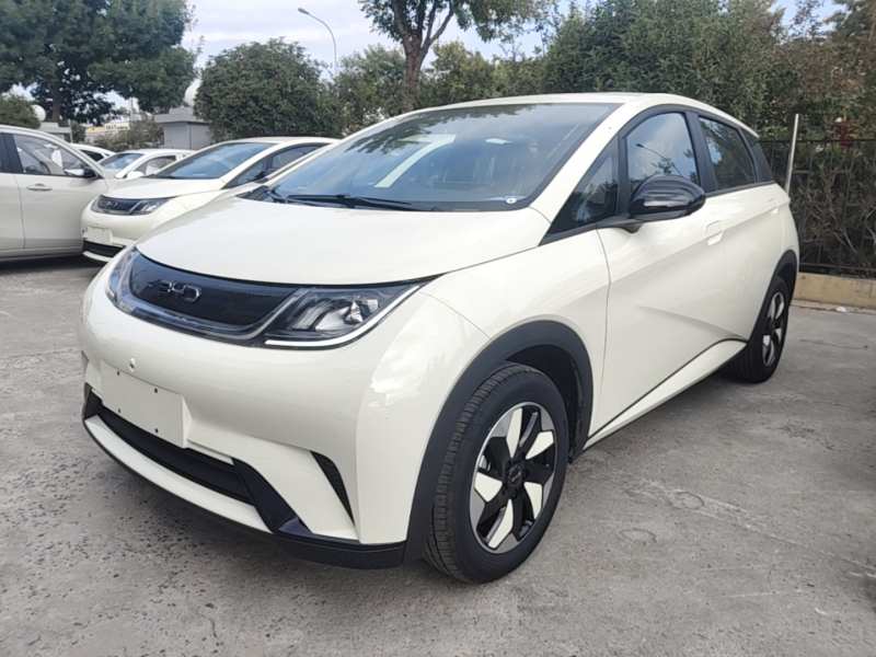Used BYD Dolphin 2025 420km Free Edition — 1