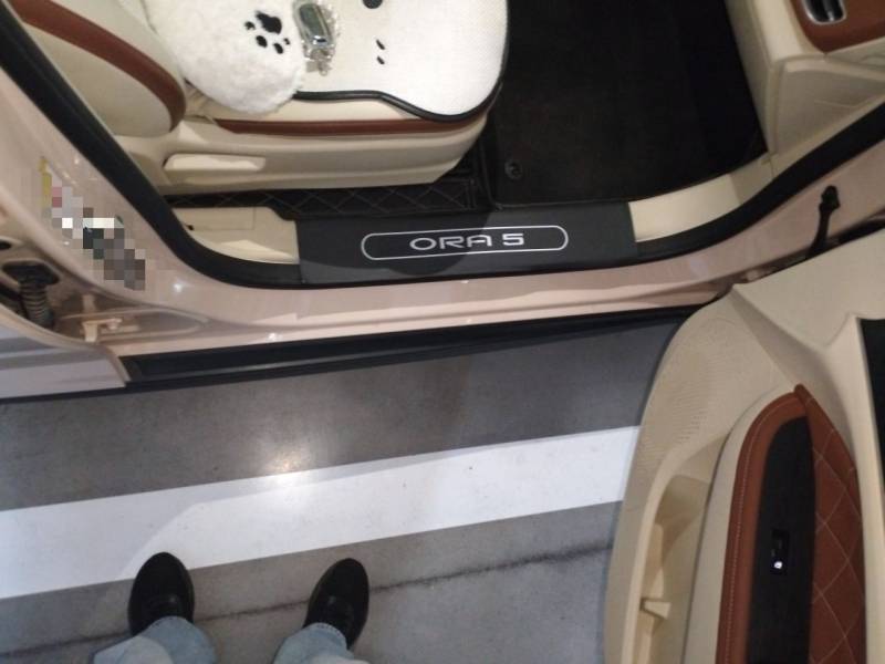Used ORA Good Cat 2023 401 km Standard Range Luxury Version Lithium Iron Phosphate — 20