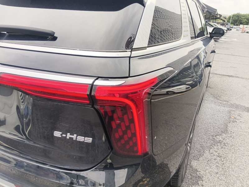 Used Hongqi E-HS9 2021 460 km Range Flagship Edition Six-Seater — 7