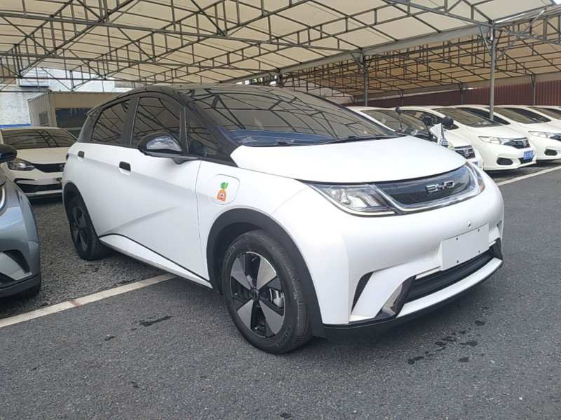 Used BYD Dolphin 2023 420 km Fashion Edition — 3