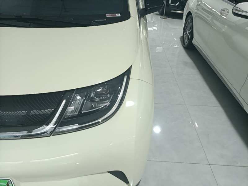 Used BYD Dolphin 2021 405 km Fashion Edition — 23