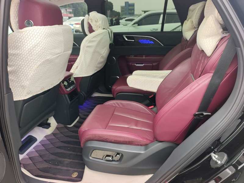 Used Hongqi E-HS9 2021 510 km Range Flagway Edition Six Seats — 16
