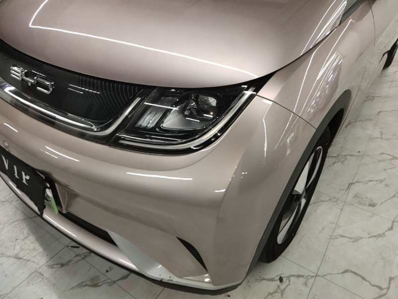 Used BYD Dolphin 2023 420 km Free Version — 23