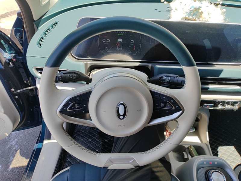 Used ORA Good Cat 2022 Morandi Edition 400km Standard Range Luxury Version Lithium-Ion Battery — 6