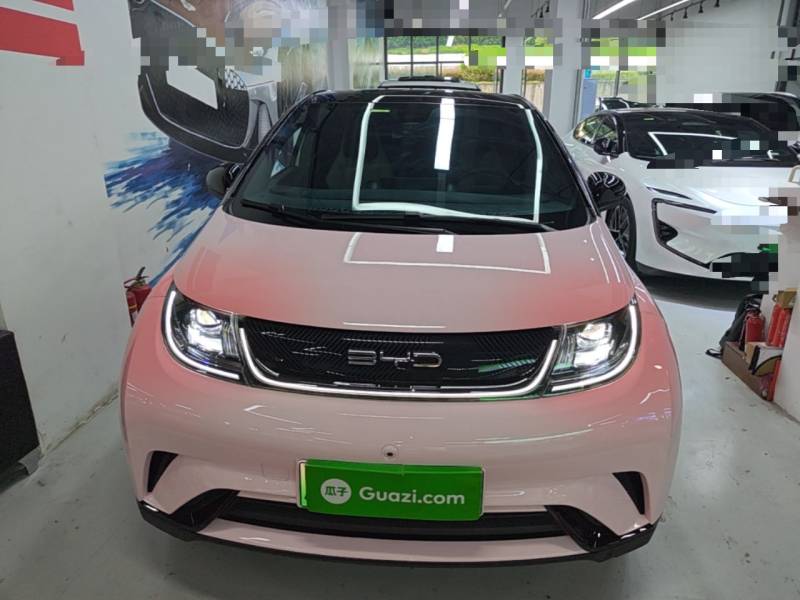Used BYD Dolphin 2023 420 km Fashion Edition — 2