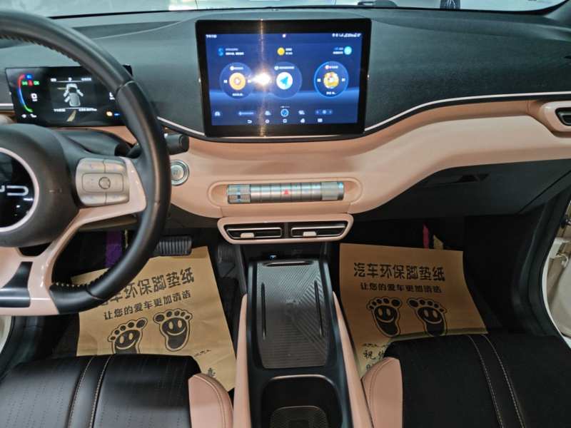 Used BYD Seagull 2023 Free Edition — 12