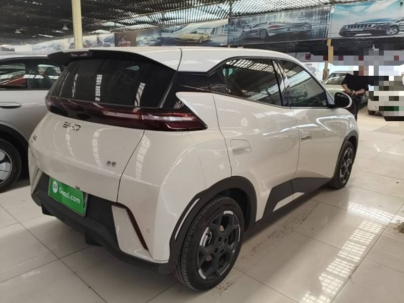 Used BYD Seagull 2025 305 km Free Version — 6