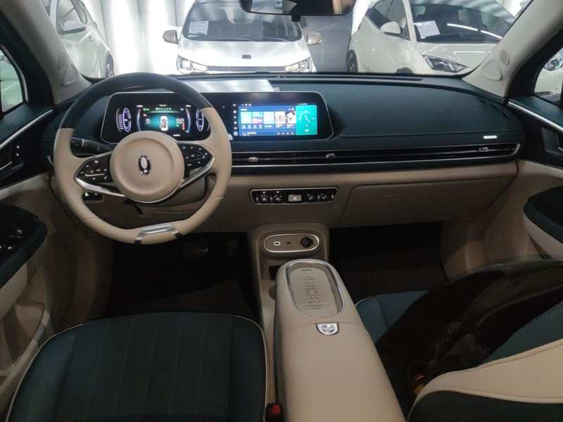 Used ORA Good Cat 2023 401 km Standard Range Luxury Version Lithium Iron Phosphate — 9