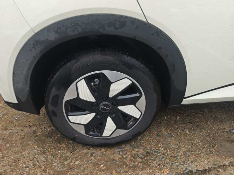 Used BYD Dolphin 2025 420km Free Edition — 25
