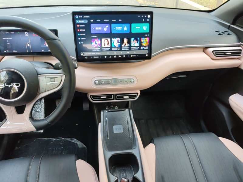 Used BYD Seagull 2025 Smart Drive Version 305 km Freedom Edition — 12