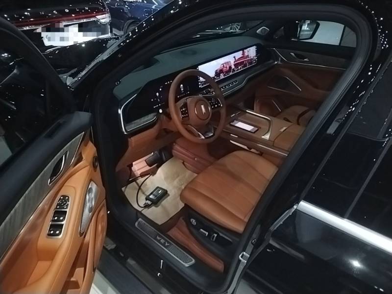 Used Wey Lanshan 2023 Four-Wheel Drive Ultra-Long Range Version — 15