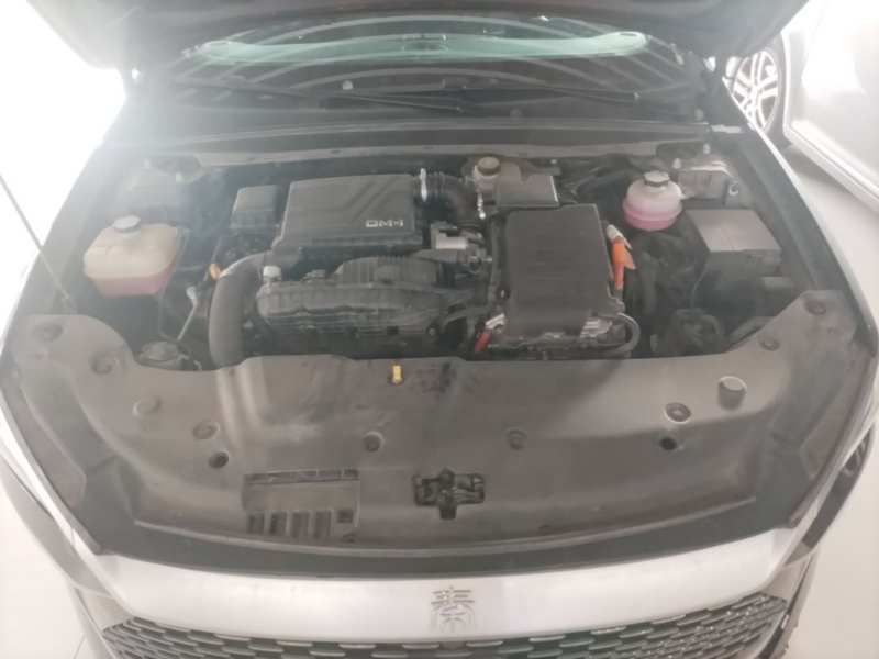 Used BYD Qin PLUS 2023 Champion Edition DM-i 55KM Superior Model — 19