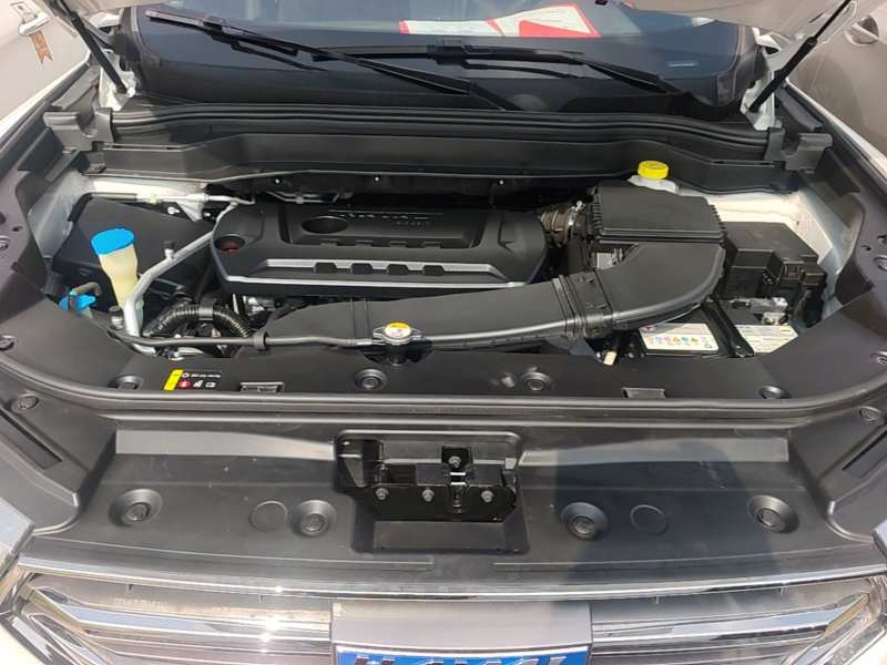 Used Haval H6 2017 Blue Label 2.0T Automatic Two-Wheel Drive Smart Edition — 19