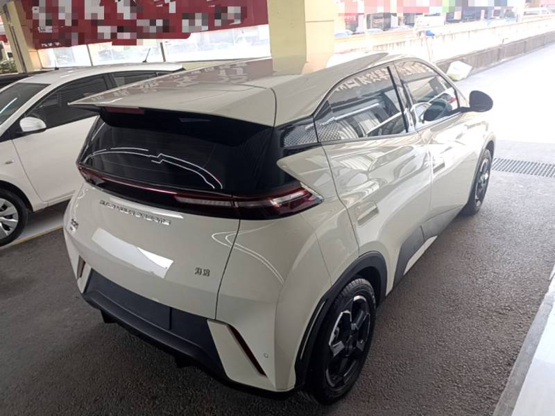 Used BYD Seagull 2023 Free Edition — 6
