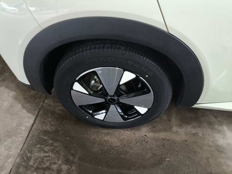 Used BYD Dolphin 2023 420 km Fashion Edition — 25