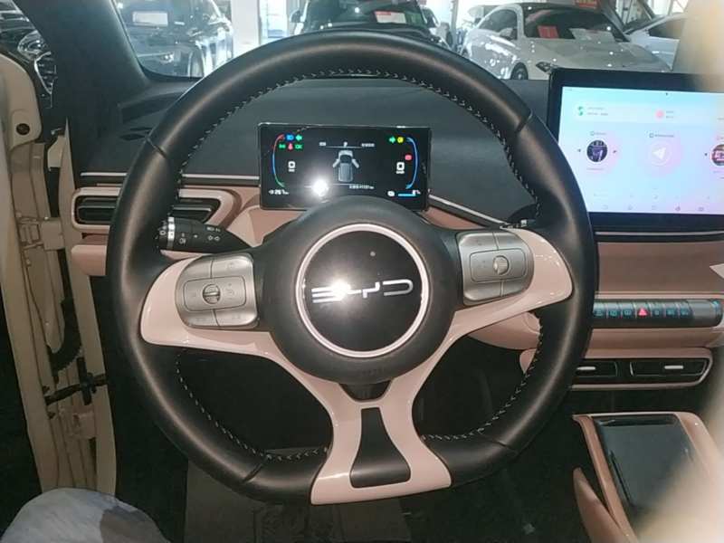 Used BYD Seagull 2023 Free Edition — 10