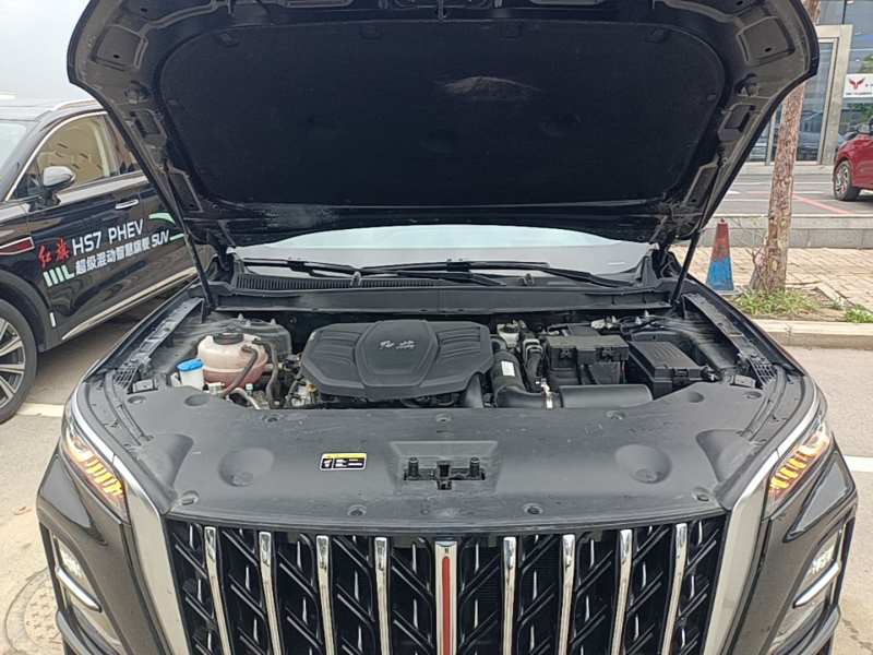 Used Hongqi HS5 2023 2.0T Four-Wheel Drive Flagship Pro Edition – Chinese Trim Xiang — 19