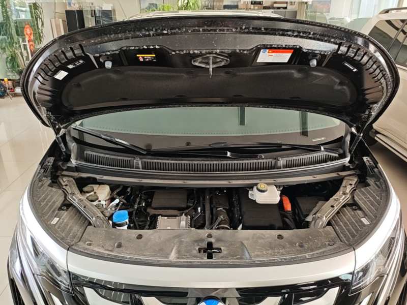 Used Denza D9 2025 Model DM-i Two-Wheel Drive Prestige Edition — 19