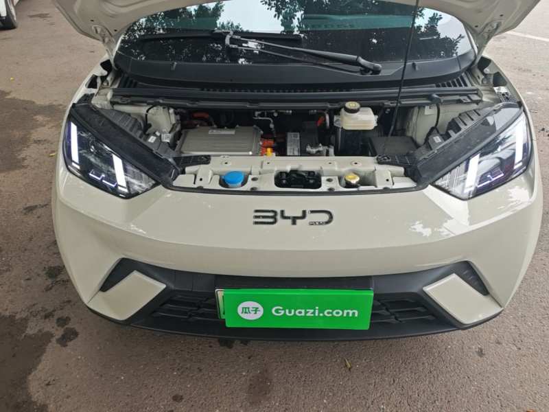 Used BYD Seagull 2025 305km Active Version — 19