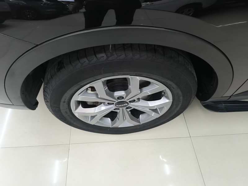 Used Haval H6 2021 National Trend Edition 1.5T Automatic Champion Version — 22