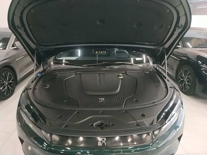 Used BYD Han 2022 EV 610 km All-Wheel-Drive Qianshan Cui Limited Edition — 19