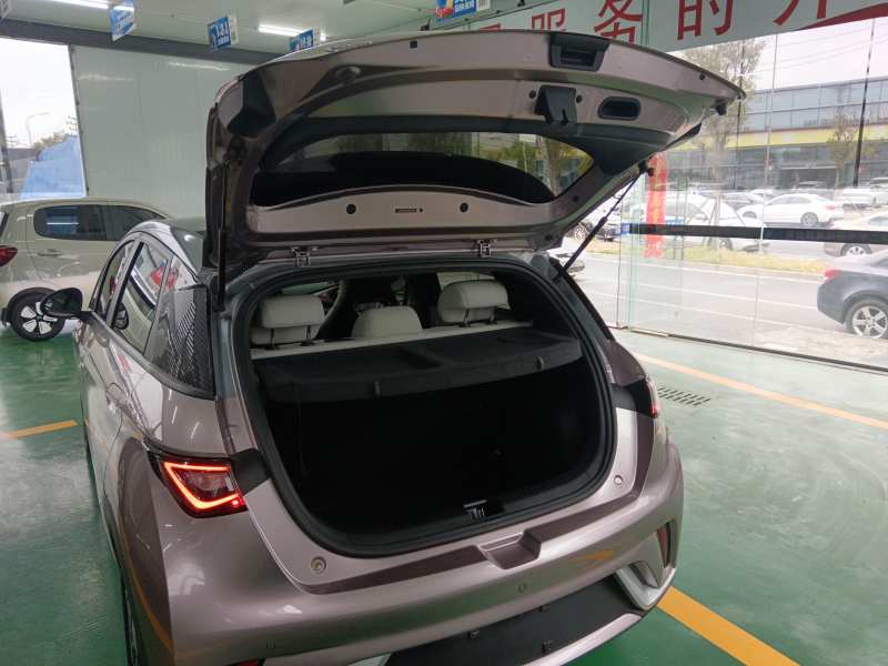 Used BYD Dolphin 2021 405 km Fashion Edition — 18